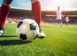 第四十一届,美国围棋大,赛将于,乐彩网,中国乐彩网官方,乐彩网官网,乐彩网首页