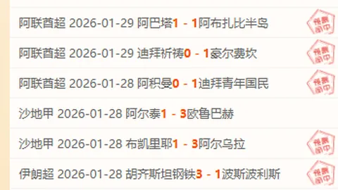 拜仁传奇凯恩德甲57场独中58球